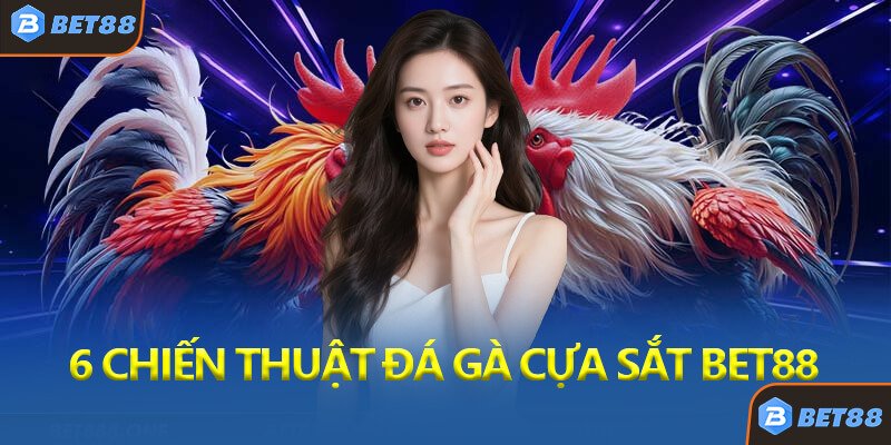 6 Chiến Thuật Cược Đá Gà Cựa Sắt Bet88