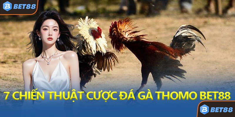7 Chiến Thuật Cược Đá Gà Thomo Bet88