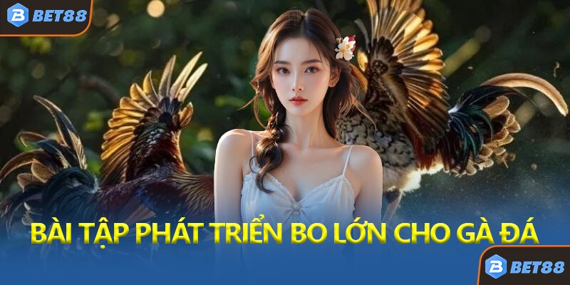 Bài Tập Phát Triển Bo Lớn Cho Gà Đá