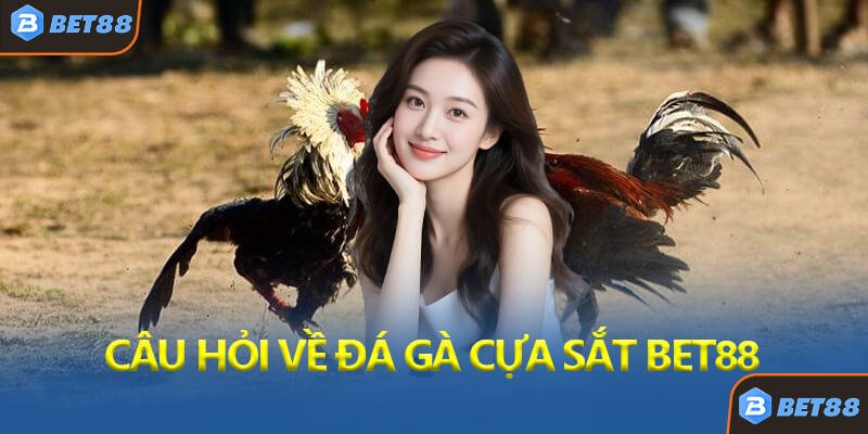 Câu Hỏi Thường Gặp Về Đá Gà Cựa Sắt Bet88