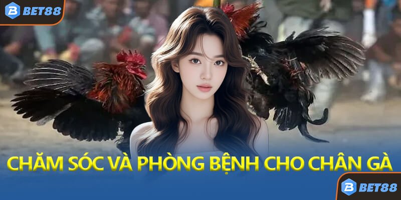 Chăm Sóc Và Phòng Bệnh Cho Chân Gà