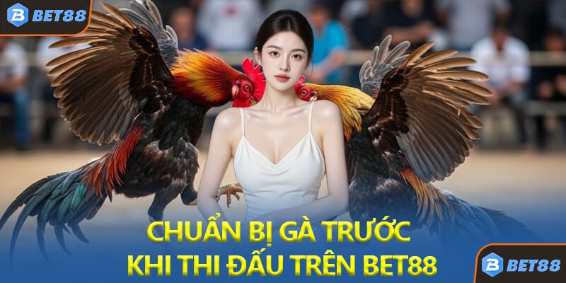 Chuẩn Bị Gà Trước Khi Thi Đấu Trên Bet88