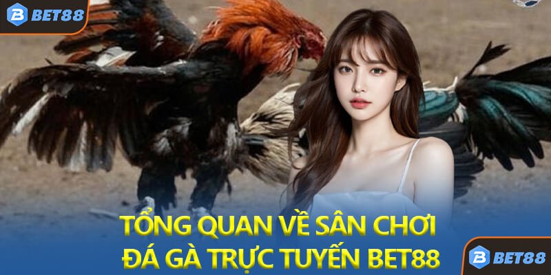 Đá Gà Bet88 - Tổng Quan Về Sân Chơi Đá Gà Trực Tuyến Hàng Đầu