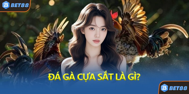 Đá Gà Cựa Sắt Là Gì?