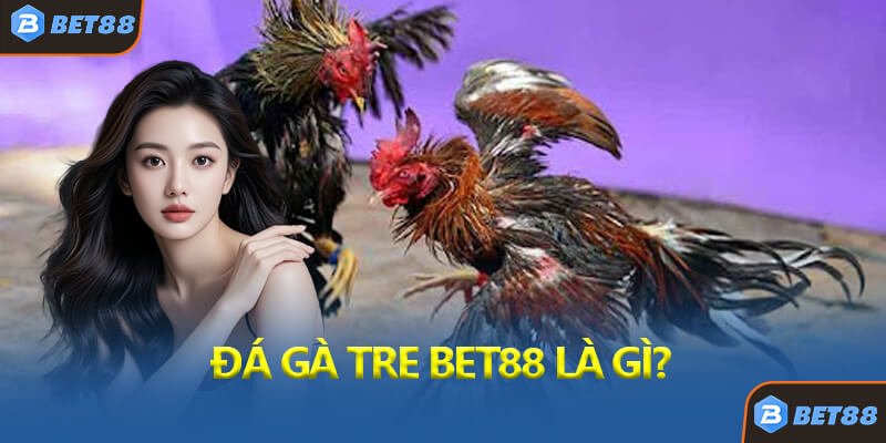 Đá Gà Tre Bet88 Là Gì?