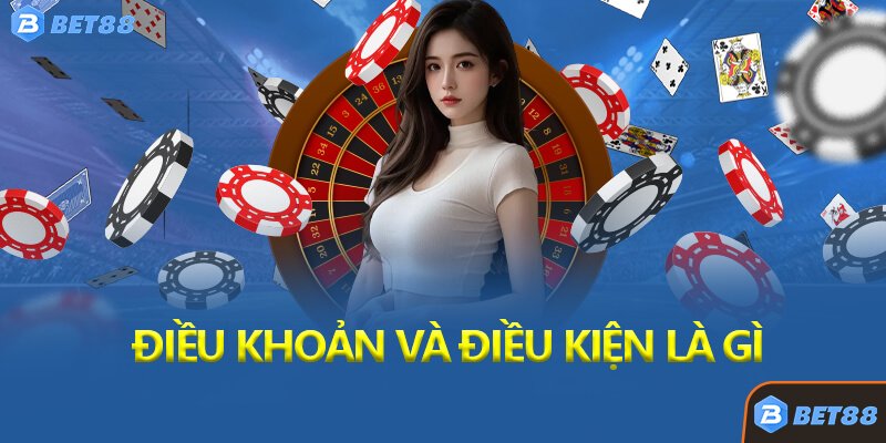 Điều Khoản và Điều Kiện Là Gì