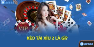 Kèo Tài Xỉu 2 Là Gì?