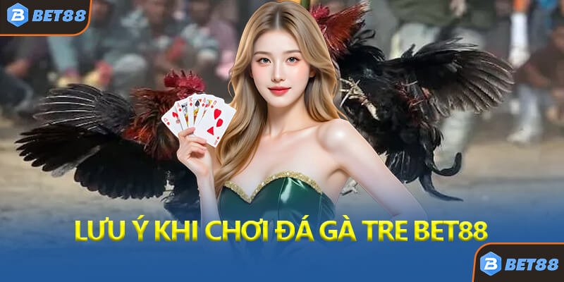 Lưu Ý Quan Trọng Khi Chơi Đá Gà Tre Bet88